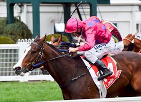 Rose wins trial as she tunes up for Group 1 assignment